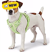 Petco Glow in the Dark Dog Harness