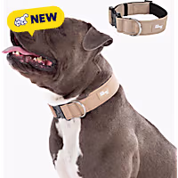 Dog Friendly Co Premium Tactical Dog Collar