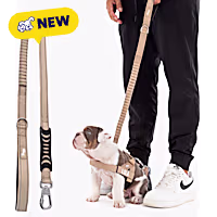 Dog Friendly Co Bungee Dog Leash