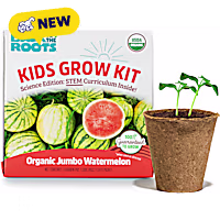 Back to the Roots Kids Grow Kit Organic Jumbo Watermelon