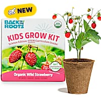 Back to the Roots Kids Organic Wild Straberry Grow Kit