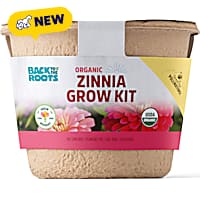 Back to the Roots Grow Kit Organic Zinnia Flower