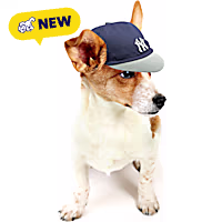 Pets First MLB Pet Cap
