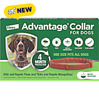 Advantage 4-Month Protection Flea and Tick Collar for Dogs and Puppies