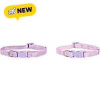 Petco Lavender Printed Dog Collar Set