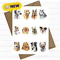 Sweet Paws x Five Dot Post Dog Faces Greeting Card