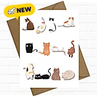 Sweet Paws x Five Dot Post Cat Faces Greeting Card
