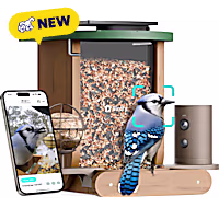Birdfy Cedar D Smart Bird Feeder with Camera, Free Lifetime AI Camera Bird Feeder