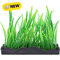 Penn Plax Tide & Treasure Aquascaping Plants Hairgrass