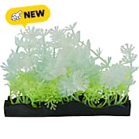 Penn Plax Tide & Treasure Glow Plants PDQ