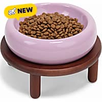 Petco Elevated Purple Ceramic Dog Bowl and Wooden Stand