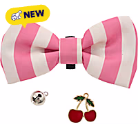Max & Marlow Cat Collar Accessory Pack