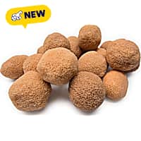 Aqua Natural Live Filter Media-Large Biospheres