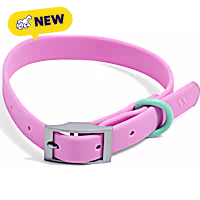 Wild One Bubblegum Colorblock Dog Collar
