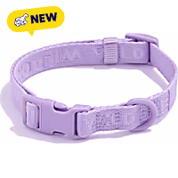 Wild One Lilac Quick-Release Dog Collar