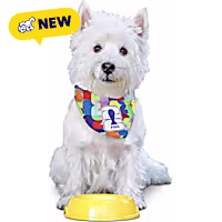 FIFA WC26 PawSwag Dog Bandana