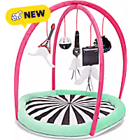 Petco Interactive Playmat with Dangling Toys for Cats