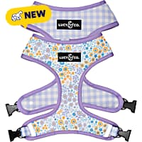 Lucy & Co. Among The Wildflowers Reversible Dog Harness