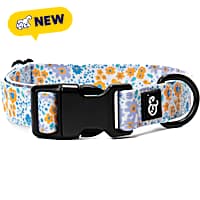 Lucy & Co. Among the Wildflowers Dog Collar