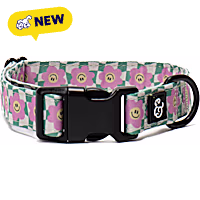 Lucy & Co. Just Chill Dog Collar