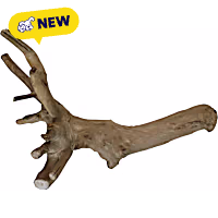 A&E Cage Company Java Wood Reptile Branch