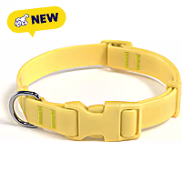 Petco UV Color-Changing Waterproof Dog Collar