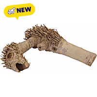 A&E Cage Company Spider Root