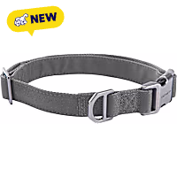 Carhartt Fully Adjustable, Durable 600-Denier Fabric W/ Reflective Wordmark for Visibility Field Dog Collar