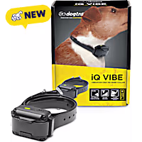 Dogtra iQ VIBE for Dogs