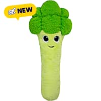 Outward Hound Veggie Palz Broccoli Dog Toys