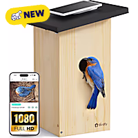 Birdfy Smart Bird Houses for Outside Solar Powered 1080P HD Live View Bird House with Camera