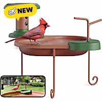 Birdfy Jolly V Smart Bird Bath with Camera Solar Powered