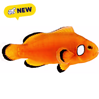 Oceans, Reefs, and Aquariums Naked with Dots Ocellaris Clownfish