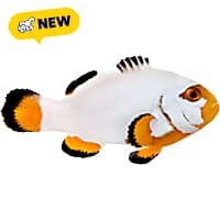 ORA Platinum Clownfish