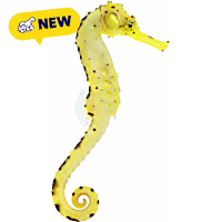 Oceans, Reefs, and Aquariums Tigertail Seahorse
