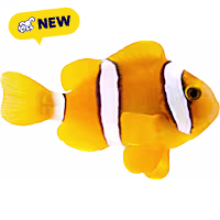 Oceans, Reefs, and Aquariums Clarks Clownfish