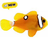 Oceans, Reefs, and Aquariums Deluxe Clarks Clownfish