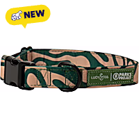 Lucy & Co. Geyser Adjustable Dog Collar