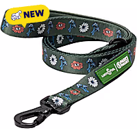 Lucy & Co. Power to the Parks Padded Dog Leash