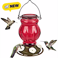 Nature's Way Ruby Visions Hanging Glass Hummingbird Feeder for Outdoor Decor, Capacity Nectar Feeder