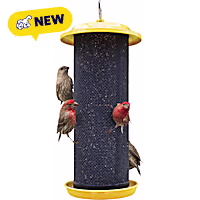 Nature's Way Easy to Clean and Fill with Easy-Cling Mesh, Sunglow Metal Mesh Thistle Bird Feeder