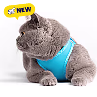 Red Dingo Cat Mesh Harness