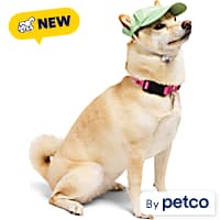 YOULY Star & Moon Pet Hat