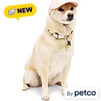 Reddy Pink Twill Pet Hat