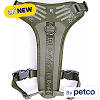 Reddy Active Dog Harness