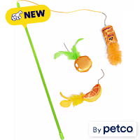 Leaps & Bounds Orange Teaser Cat Toy