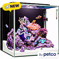 Imagitarium Cube Glass Aquarium Kit with Lighting, Filtration & Accessories