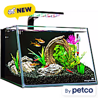 fish tank accessories petco imagitarium by Aquatic Gravel Vacuum Large : Pet Supplies Theyll enjoy exploring their new landscape with this sculpture to swim around and relax behind when they need some alone time. Aquarium Maintenance Supplies | Petco