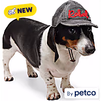 Reddy Rebel Embroidered Pet Hat