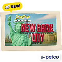 YOULY New Bark City Travel Postcard Plush Dog Toy